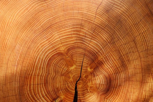 Comment connaitre le taux d'humidité de votre bois de chauffage