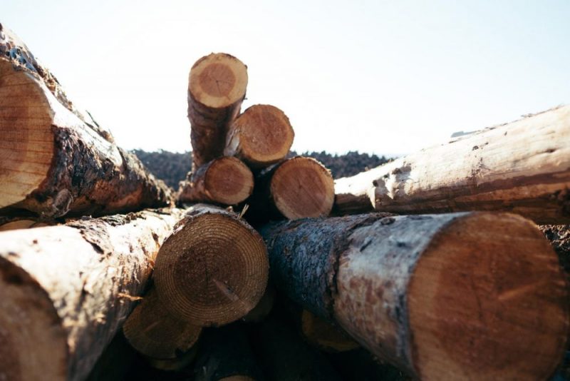 durée Quelle durée poour le stockage bois de chauffage ?