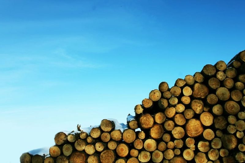 Les ventes d’appareils de chauffage au bois, en 2021, ont augmenté avec un joli succès pour les poêles qui peuvent notamment fonctionner avec des bûches