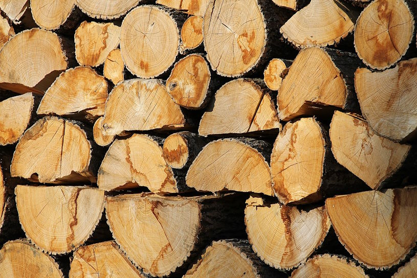 Le bois de chauffage est un combustible vendu de plus en plus cher.